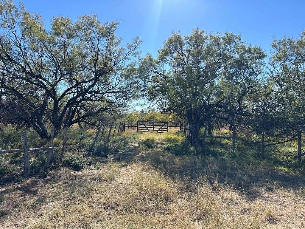 20 Acres of Land for Sale in San Angelo, Texas