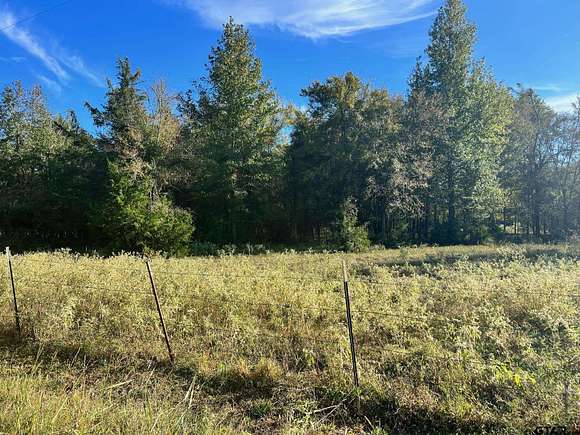 17.777 Acres of Recreational Land & Farm for Sale in Winnsboro, Texas