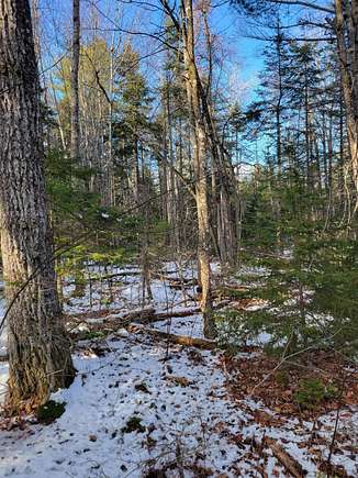 16 Acres of Land for Sale in Searsport, Maine