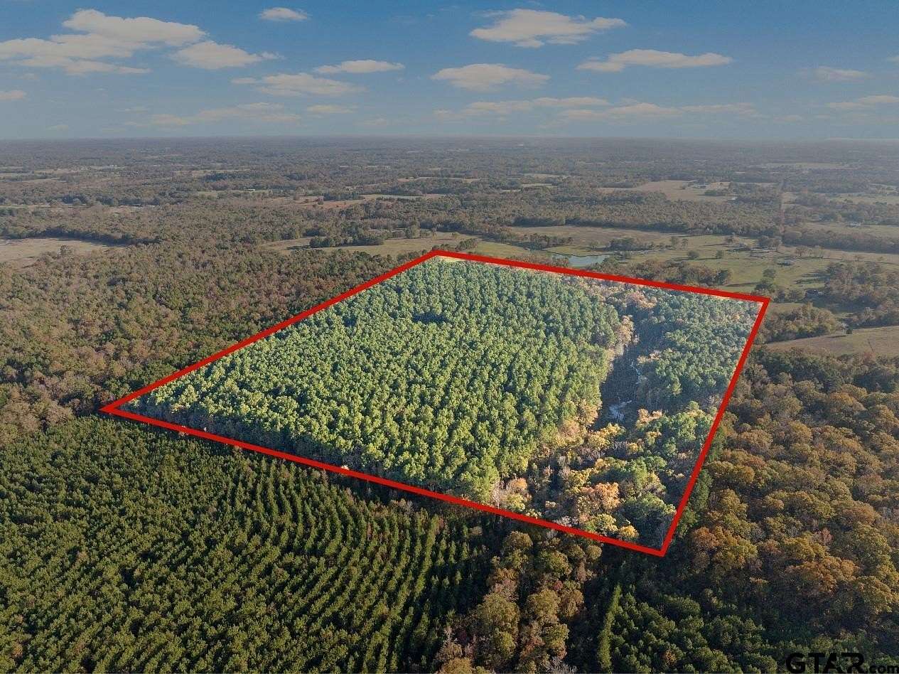 63.84 Acres of Recreational Land for Sale in Mount Pleasant, Texas