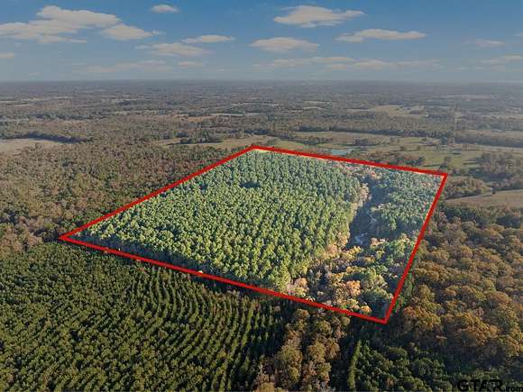 63.84 Acres of Recreational Land for Sale in Mount Pleasant, Texas