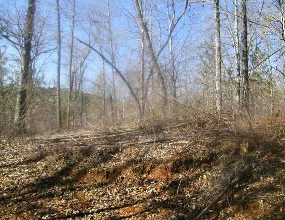 3 Acres of Residential Land for Sale in Talking Rock, Georgia