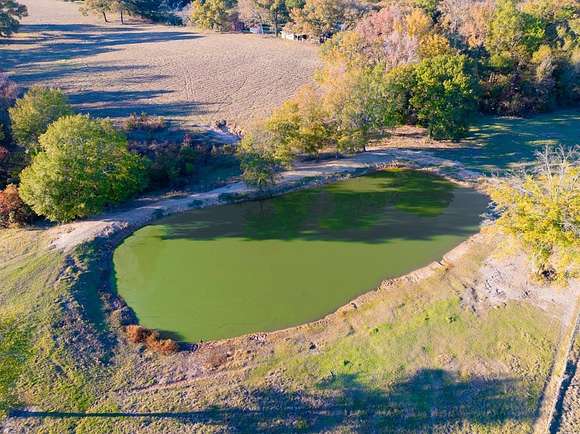 31.38 Acres of Land for Sale in Palestine, Texas