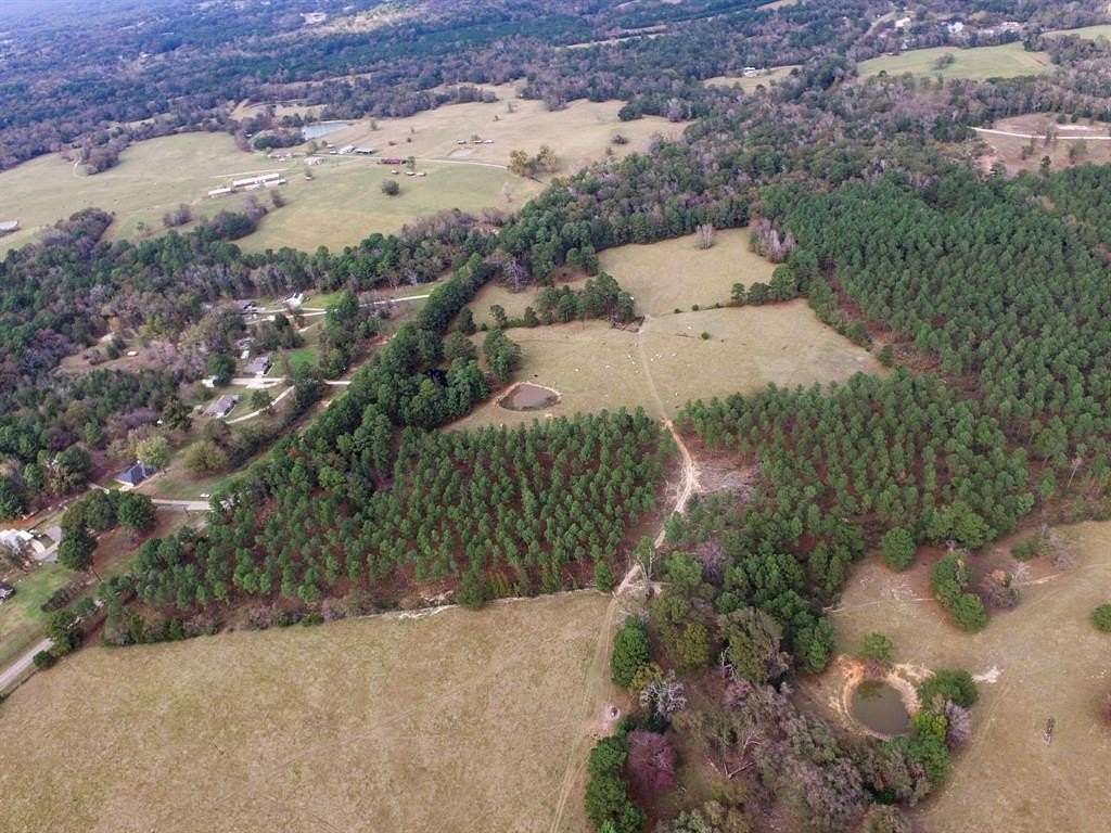 37.223 Acres of Recreational Land & Farm for Sale in Palestine, Texas