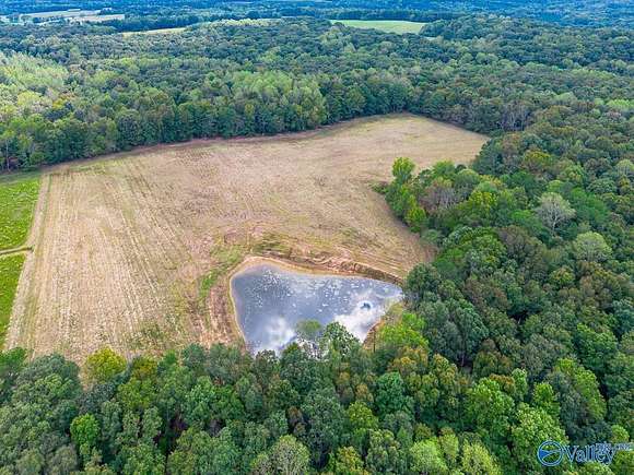 40 Acres of Land for Sale in Falkville, Alabama