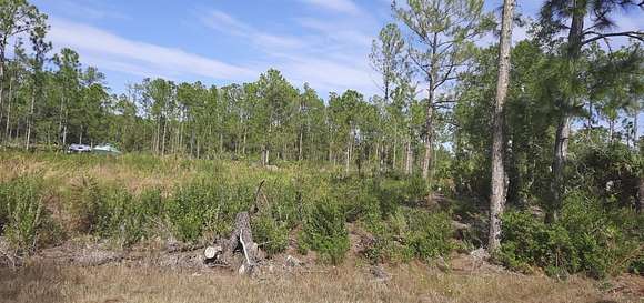 0.5 Acres of Residential Land for Sale in Indian Lake Estates, Florida