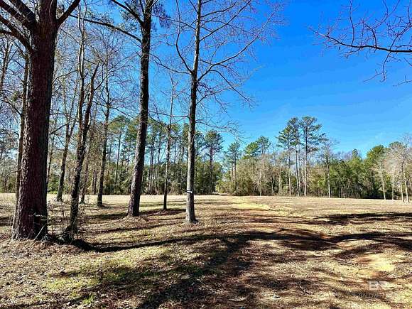 10.6 Acres of Land for Sale in Brewton, Alabama