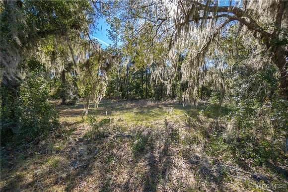 1.11 Acres of Residential Land for Sale in Crystal River, Florida