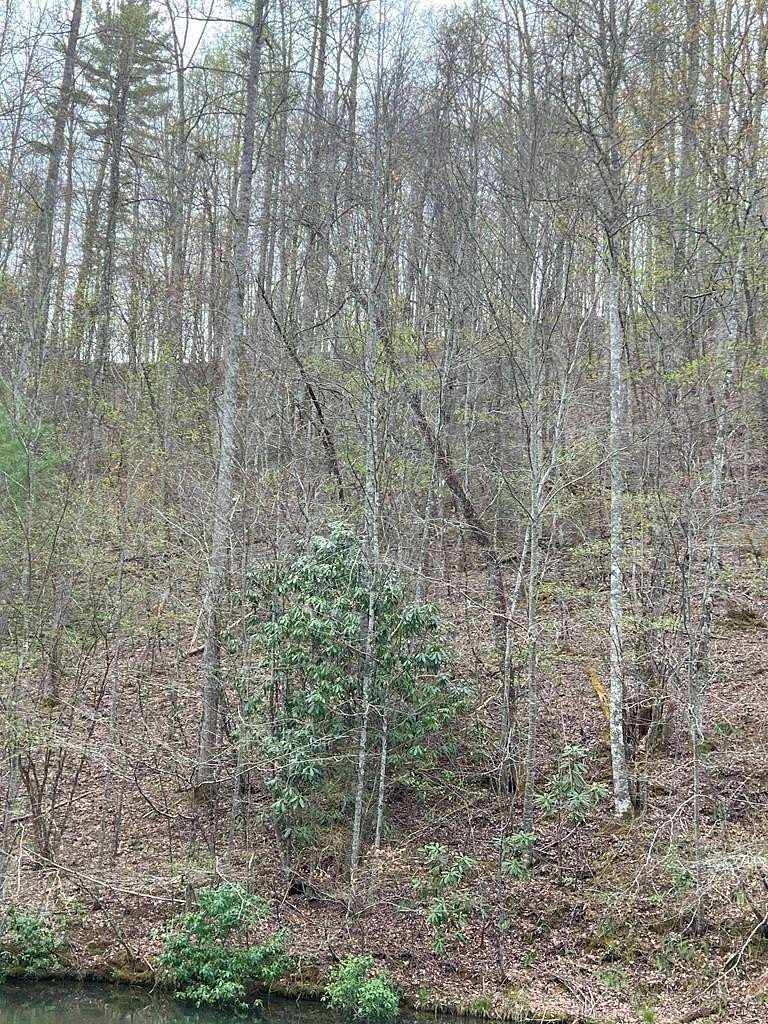 Residential Land for Sale in Topton, North Carolina