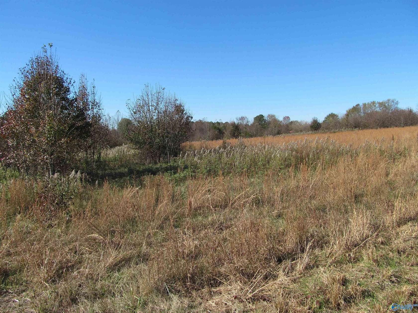 8.8 Acres of Residential Land for Sale in Albertville, Alabama