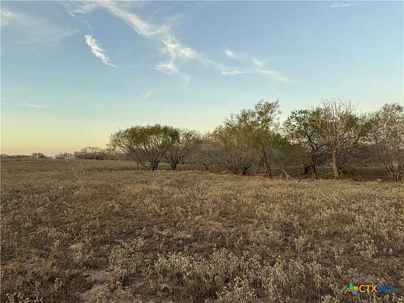 43.17 Acres of Agricultural Land for Sale in Stockdale, Texas