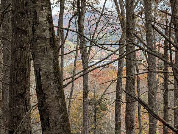 2.89 Acres of Residential Land for Sale in Cashiers, North Carolina