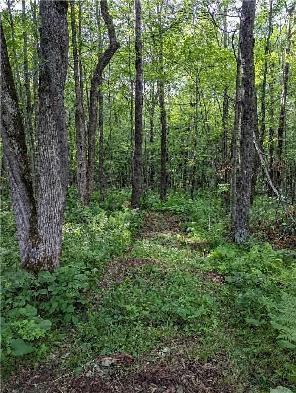 10 Acres of Recreational Land for Sale in Frederic, Wisconsin