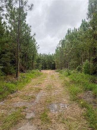 10.12 Acres of Land for Sale in Townsend, Georgia