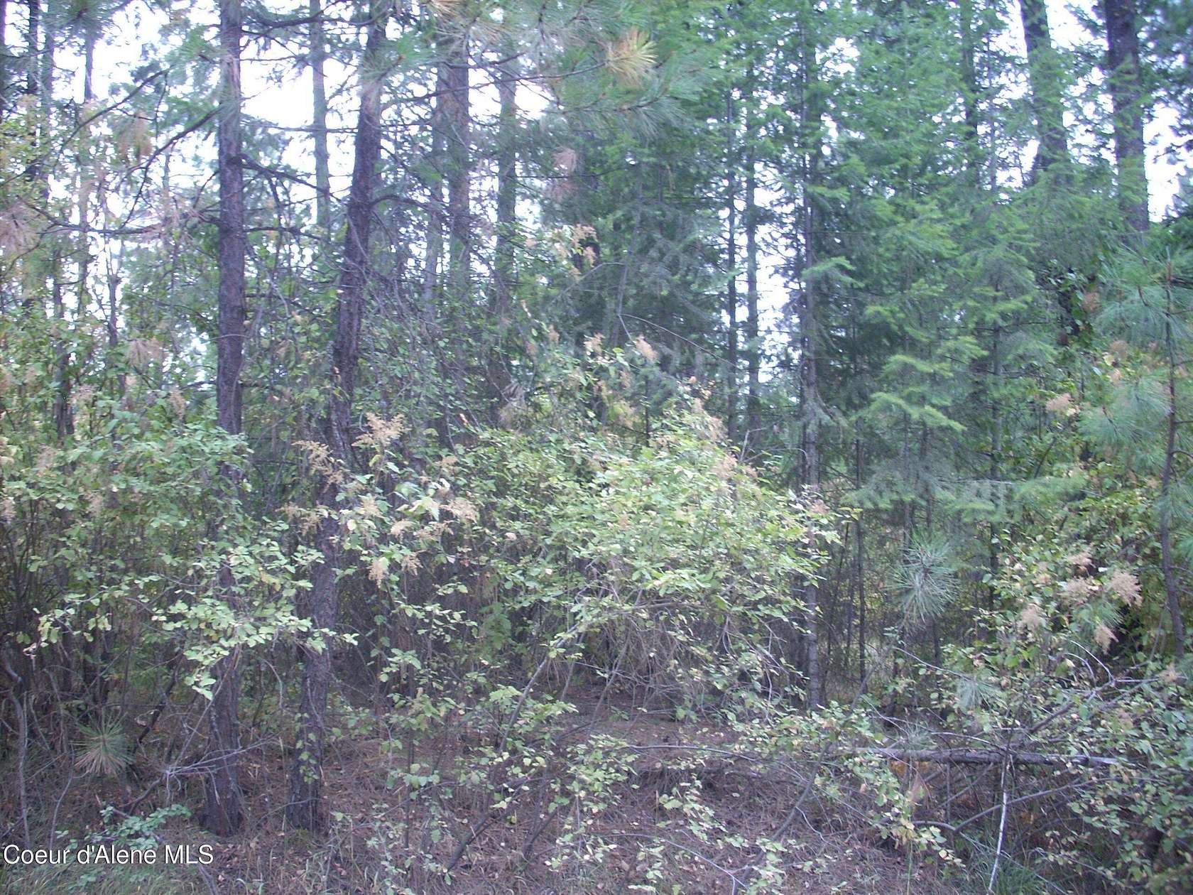 10.01 Acres of Land for Sale in Coeur d'Alene, Idaho