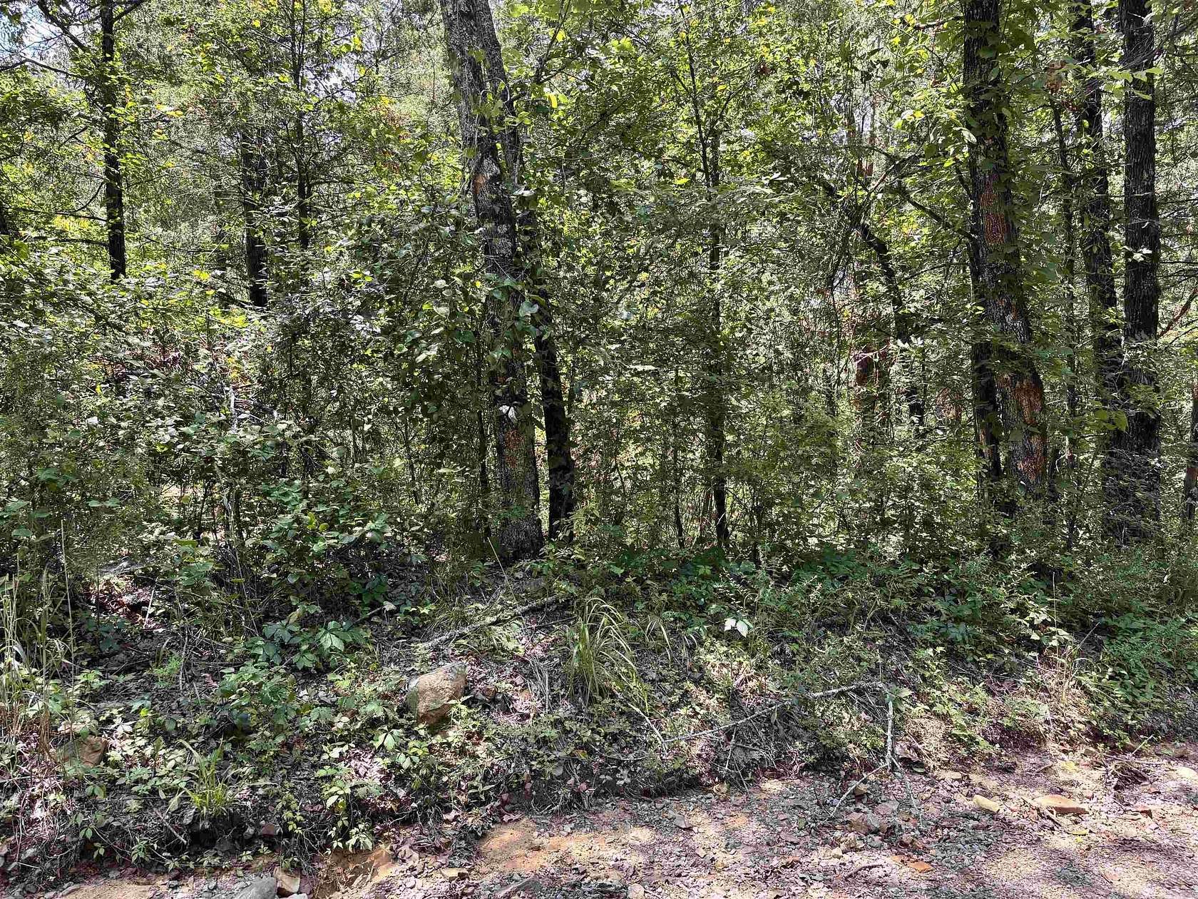 25 Acres of Recreational & Residential Land for Sale in Solgohachia, Arkansas