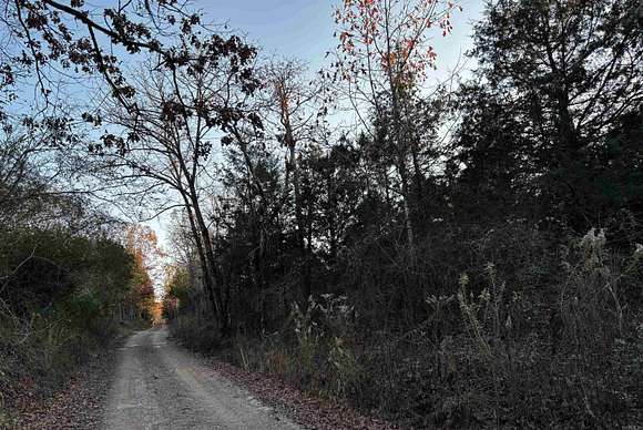 20 Acres of Recreational Land for Sale in Solgohachia, Arkansas