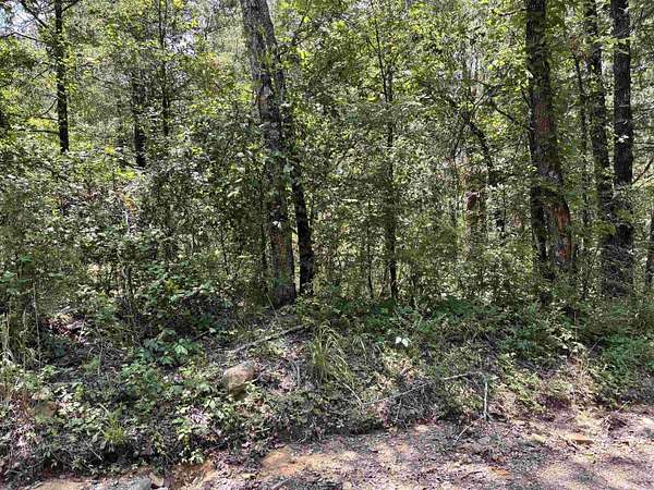 25 Acres of Recreational Land for Sale in Solgohachia, Arkansas