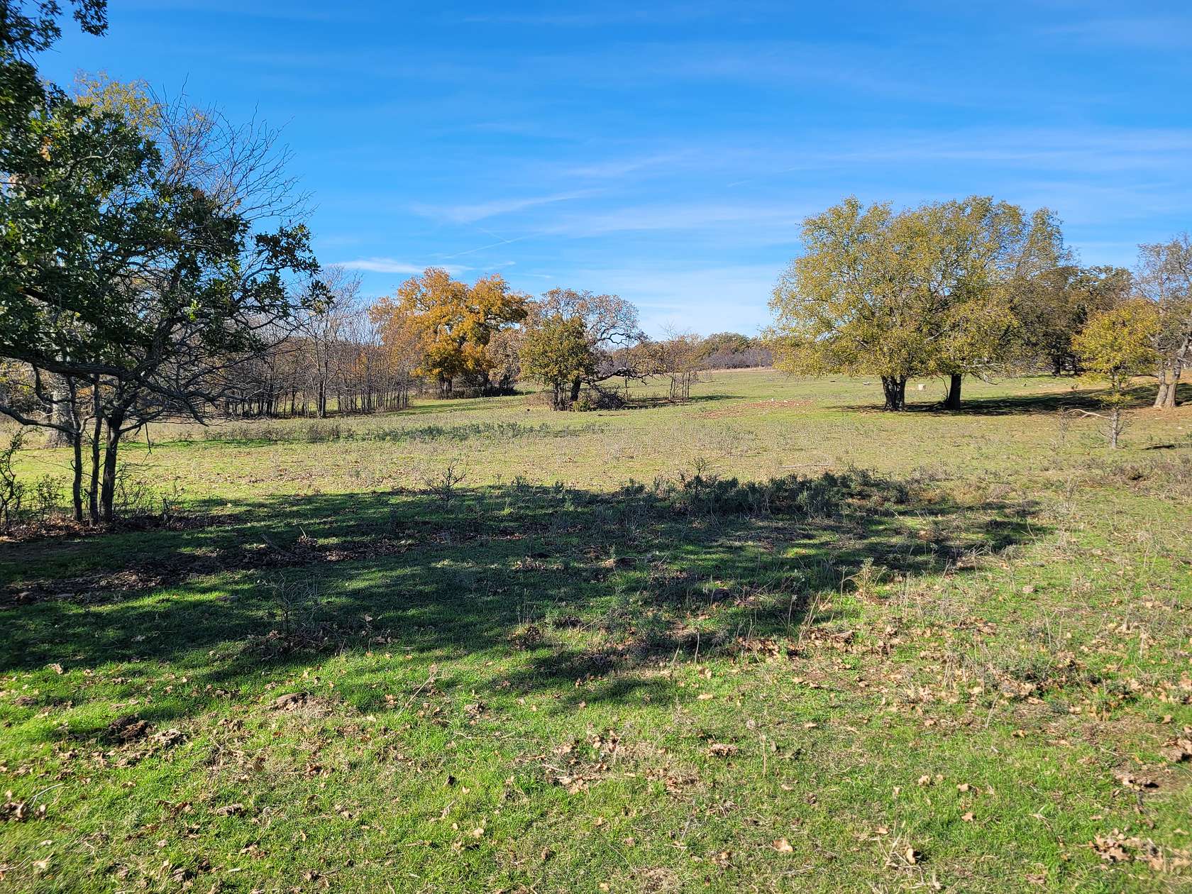 100 Acres of Land for Sale in Loco, Oklahoma