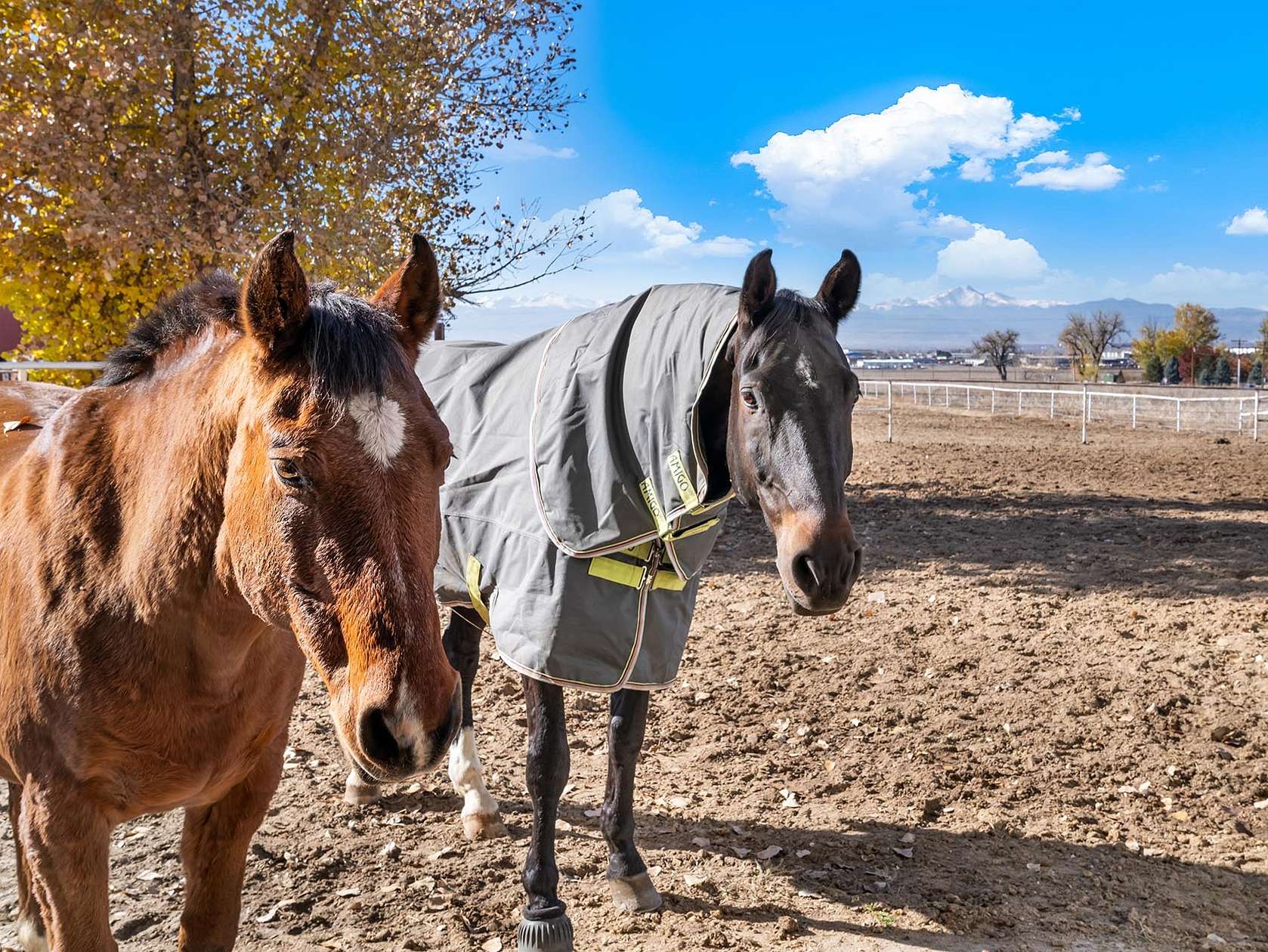 14 Acres of Recreational Land for Sale in Firestone, Colorado