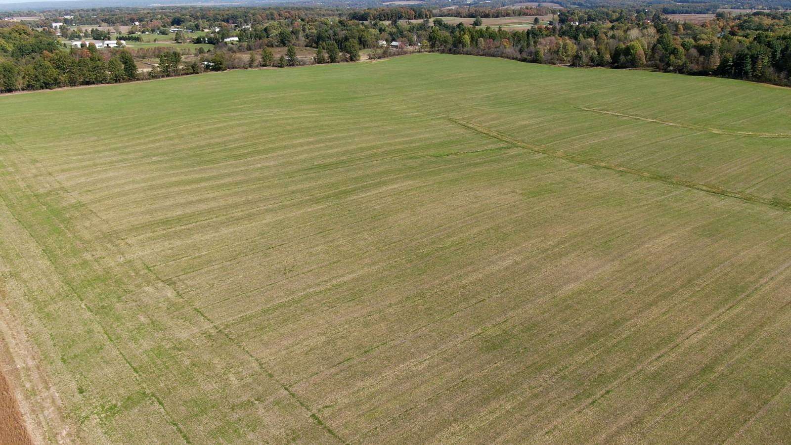 184 Acres of Land with Home for Auction in West Salem, Ohio