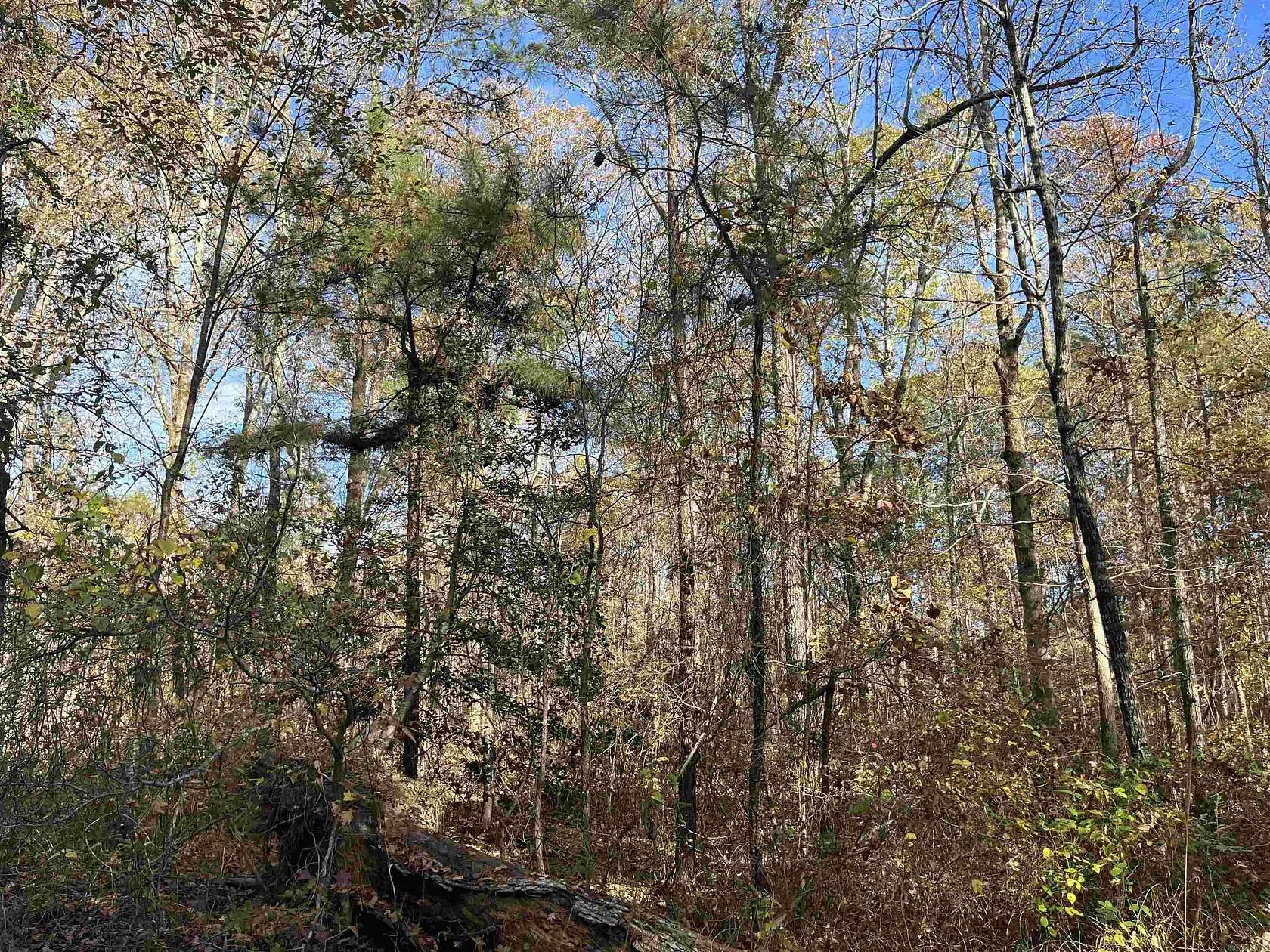 1.5 Acres of Residential Land for Sale in Shannon Hills, Arkansas