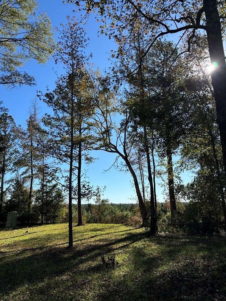 2.68 Acres of Residential Land with Home for Sale in Buena Vista, Georgia