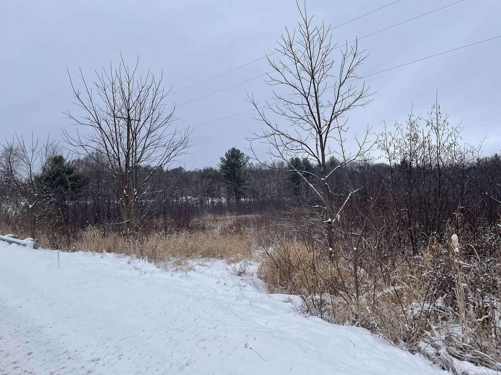 3 Acres of Residential Land for Sale in Fennville, Michigan