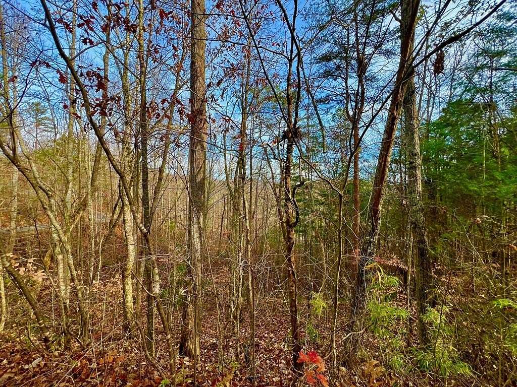 0.94 Acres of Land for Sale in Blairsville, Georgia