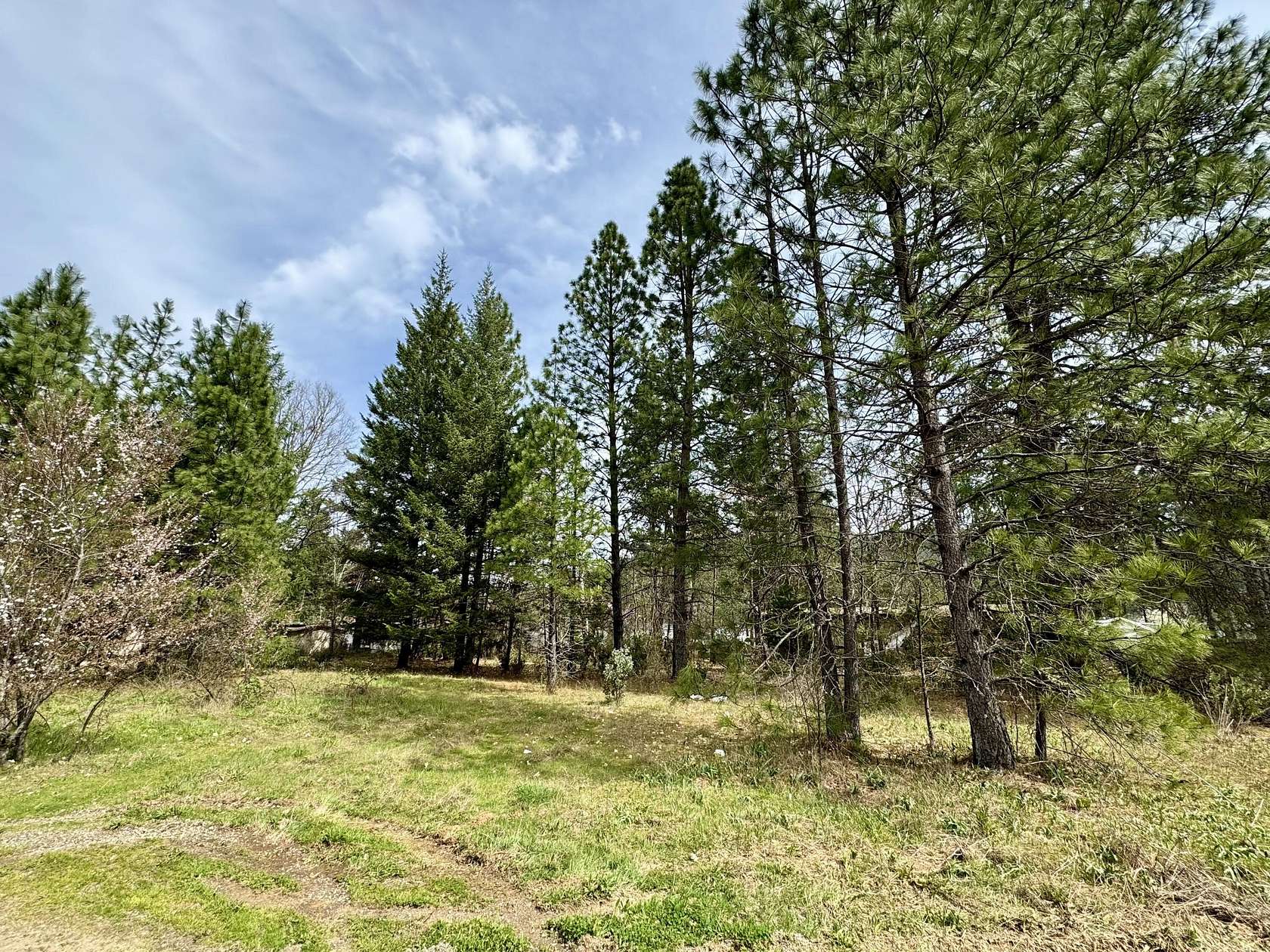 0.19 Acres of Residential Land for Sale in Cave Junction, Oregon