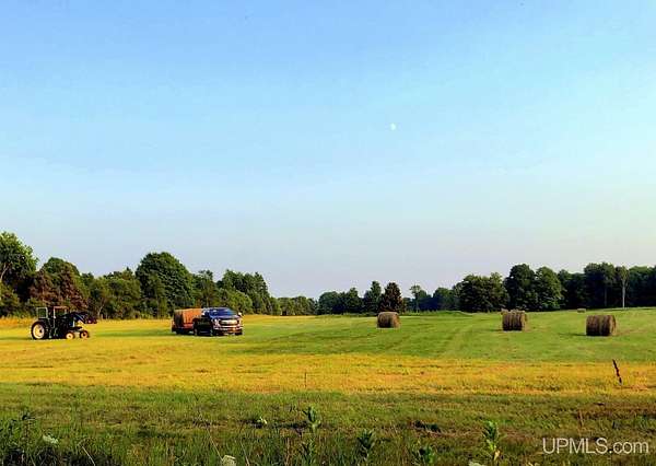 48 Acres of Land with Home for Sale in Skandia, Michigan