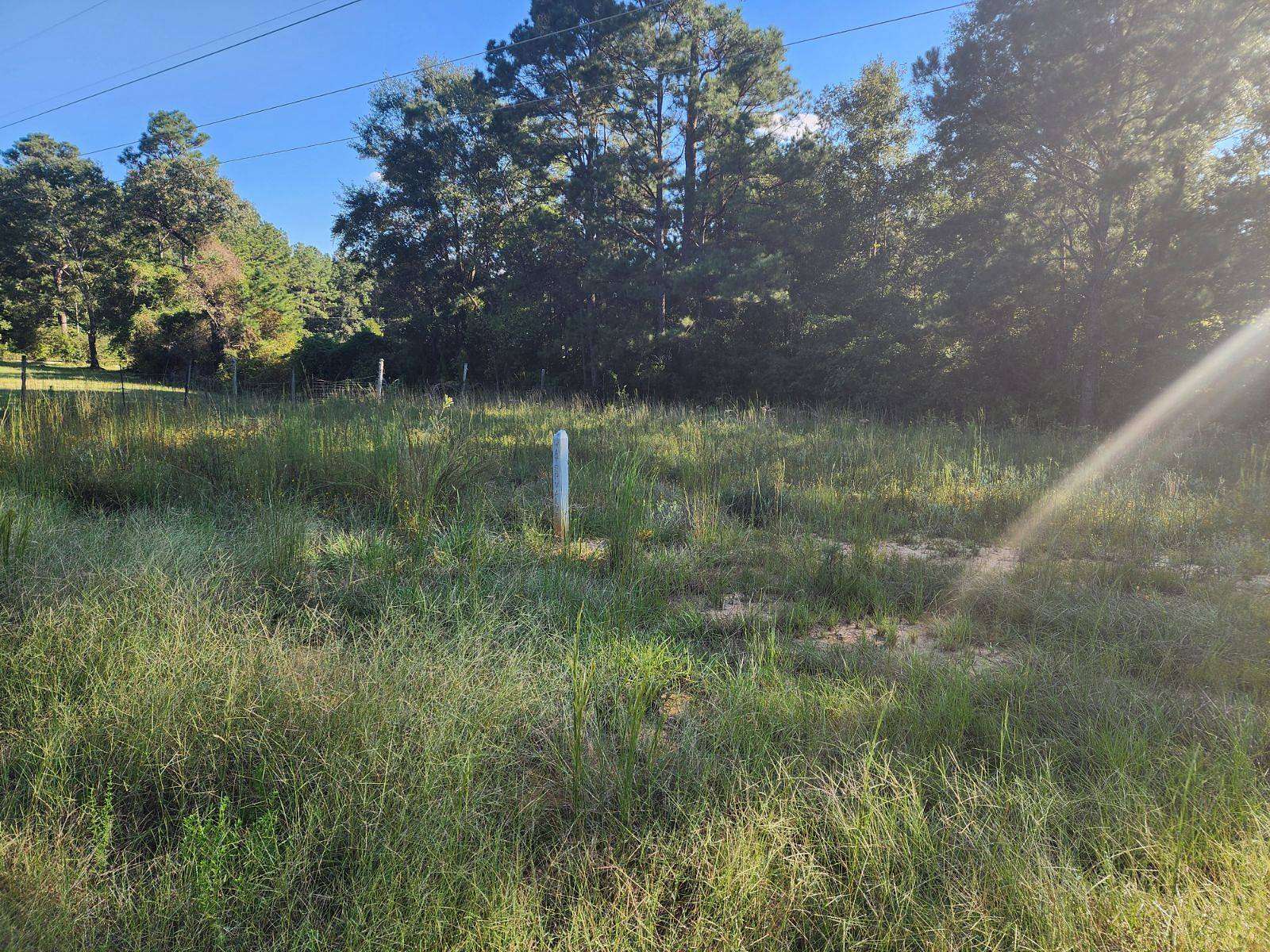 3 Acres of Land for Sale in Brewton, Alabama