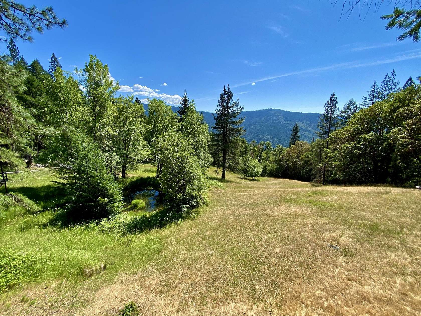 40 Acres of Recreational Land with Home for Sale in Agness, Oregon