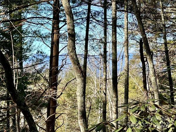 2 Acres of Residential Land for Sale in Nebo, North Carolina