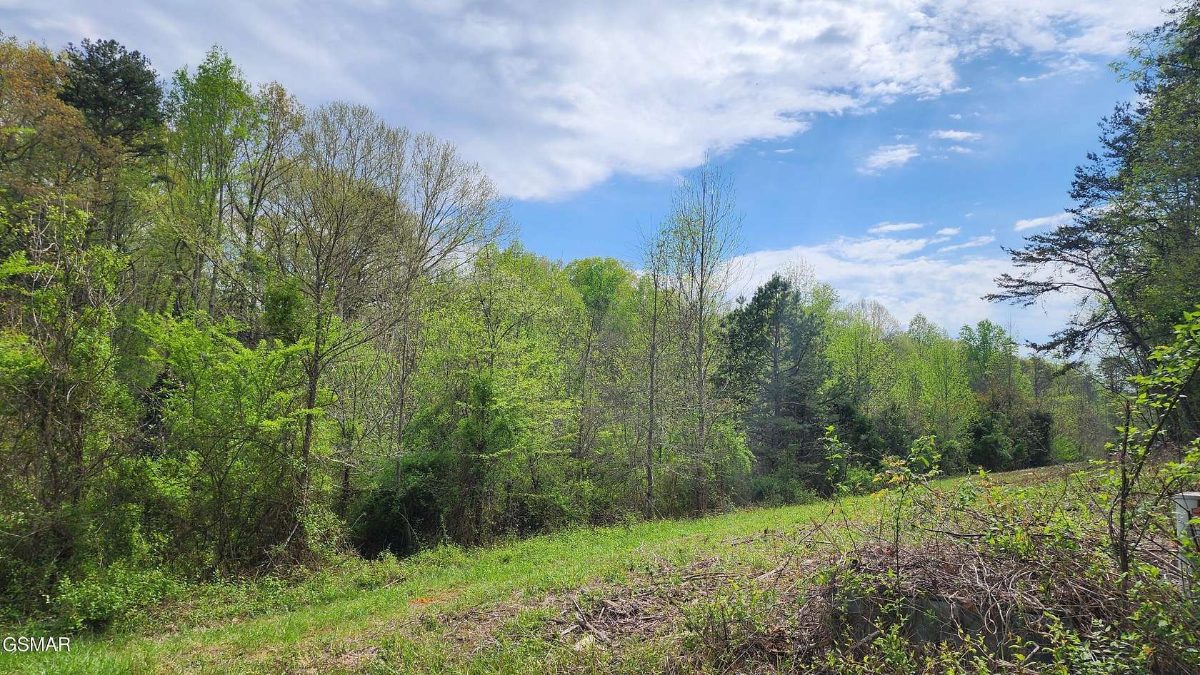 4.03 Acres of Residential Land for Sale in Newport, Tennessee