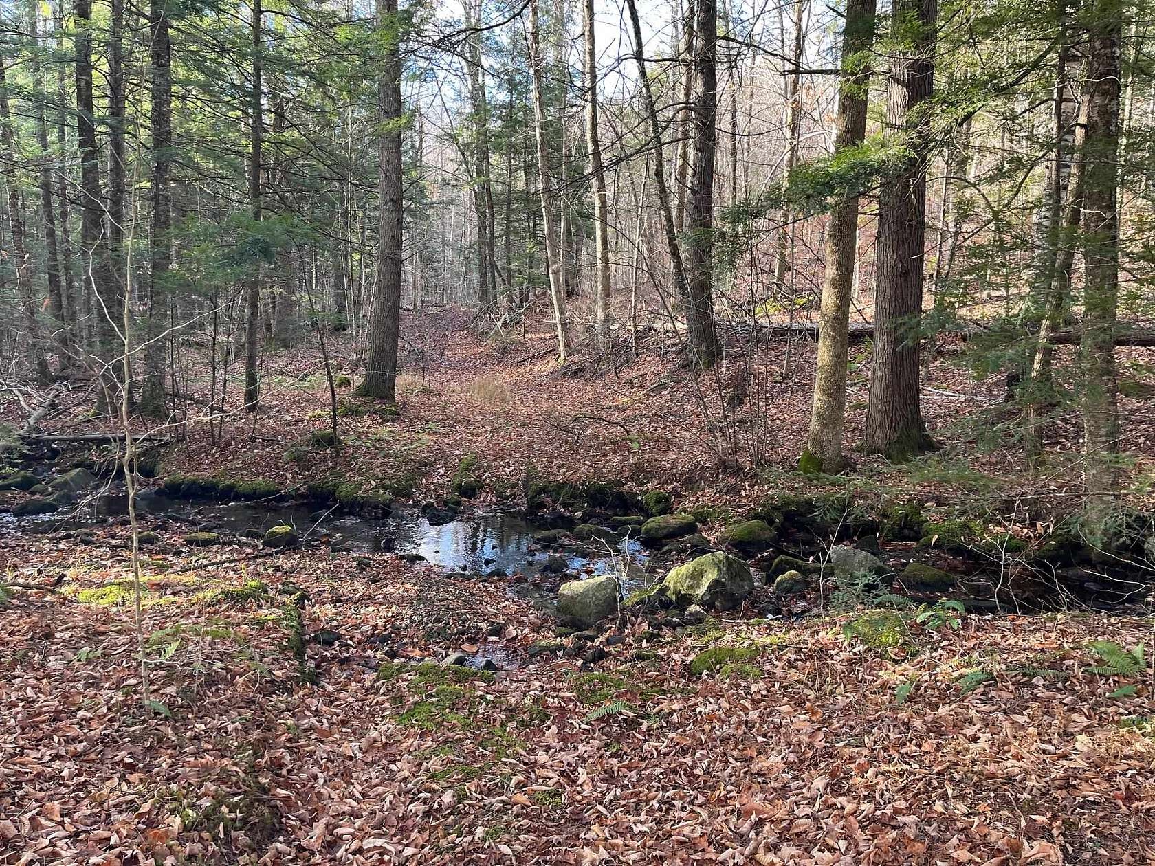 8.75 Acres of Land for Sale in Chester, Vermont