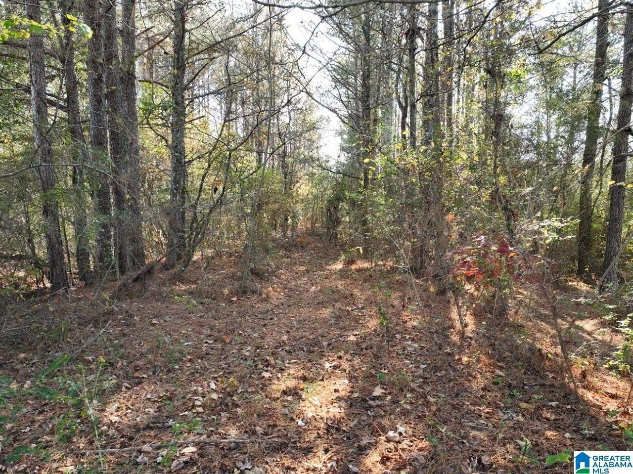 11 Acres of Land for Sale in Boaz, Alabama