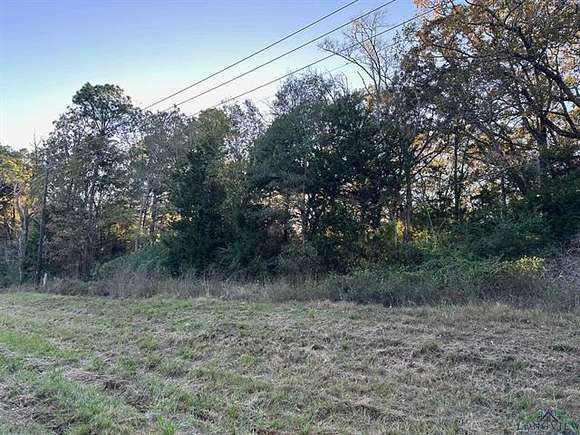 8.62 Acres of Land for Sale in Palestine, Texas