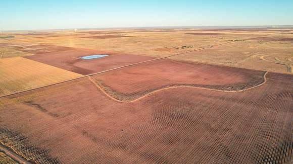 528 Acres of Recreational Land & Farm for Sale in Sudan, Texas