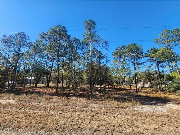 1.25 Acres of Residential Land for Sale in Williston, Florida