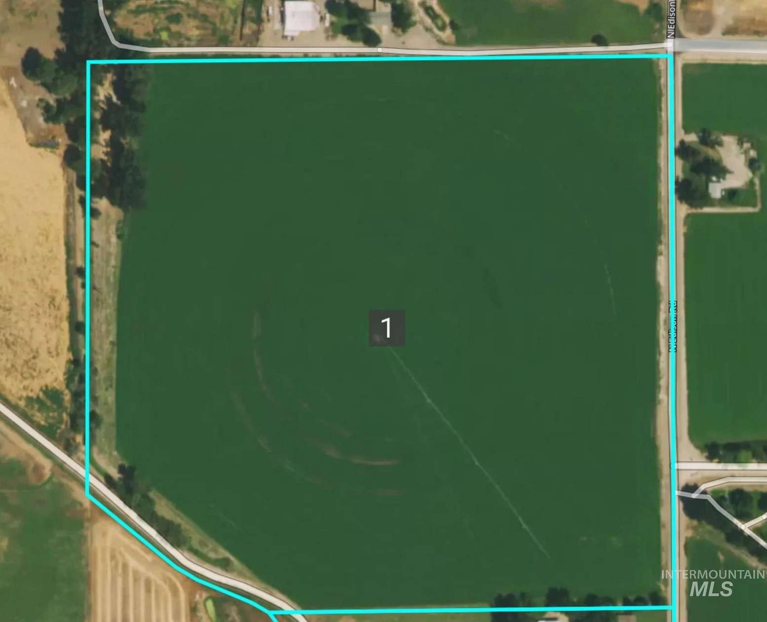 36.47 Acres of Agricultural Land for Sale in Marsing, Idaho