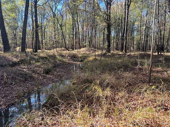 298 Acres of Recreational Land for Sale in Millport, Alabama