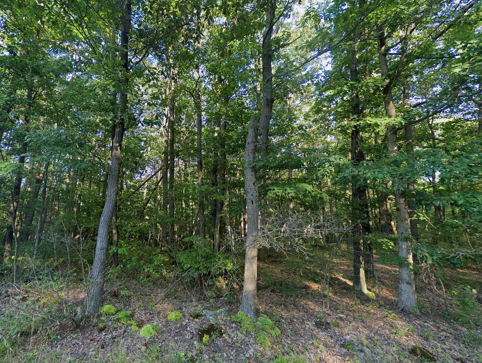 3.56 Acres of Residential Land for Sale in Albright, West Virginia