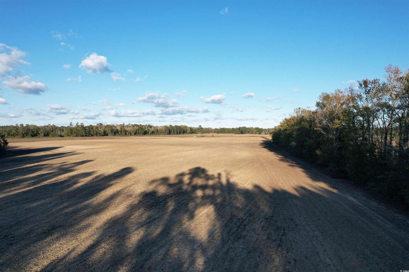 15.98 Acres of Agricultural Land for Sale in Hemingway, South Carolina