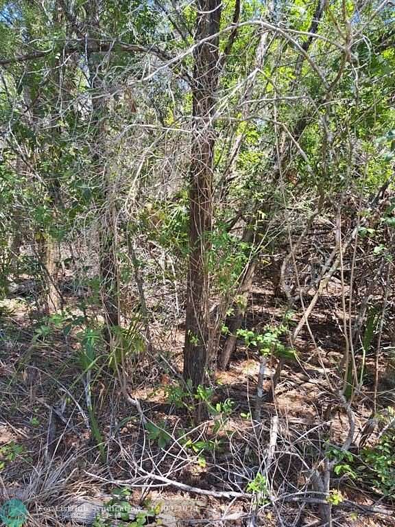 1.25 Acres of Residential Land for Sale in Crystal River, Florida