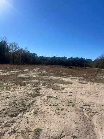 16.4 Acres of Recreational Land for Sale in Vance, South Carolina