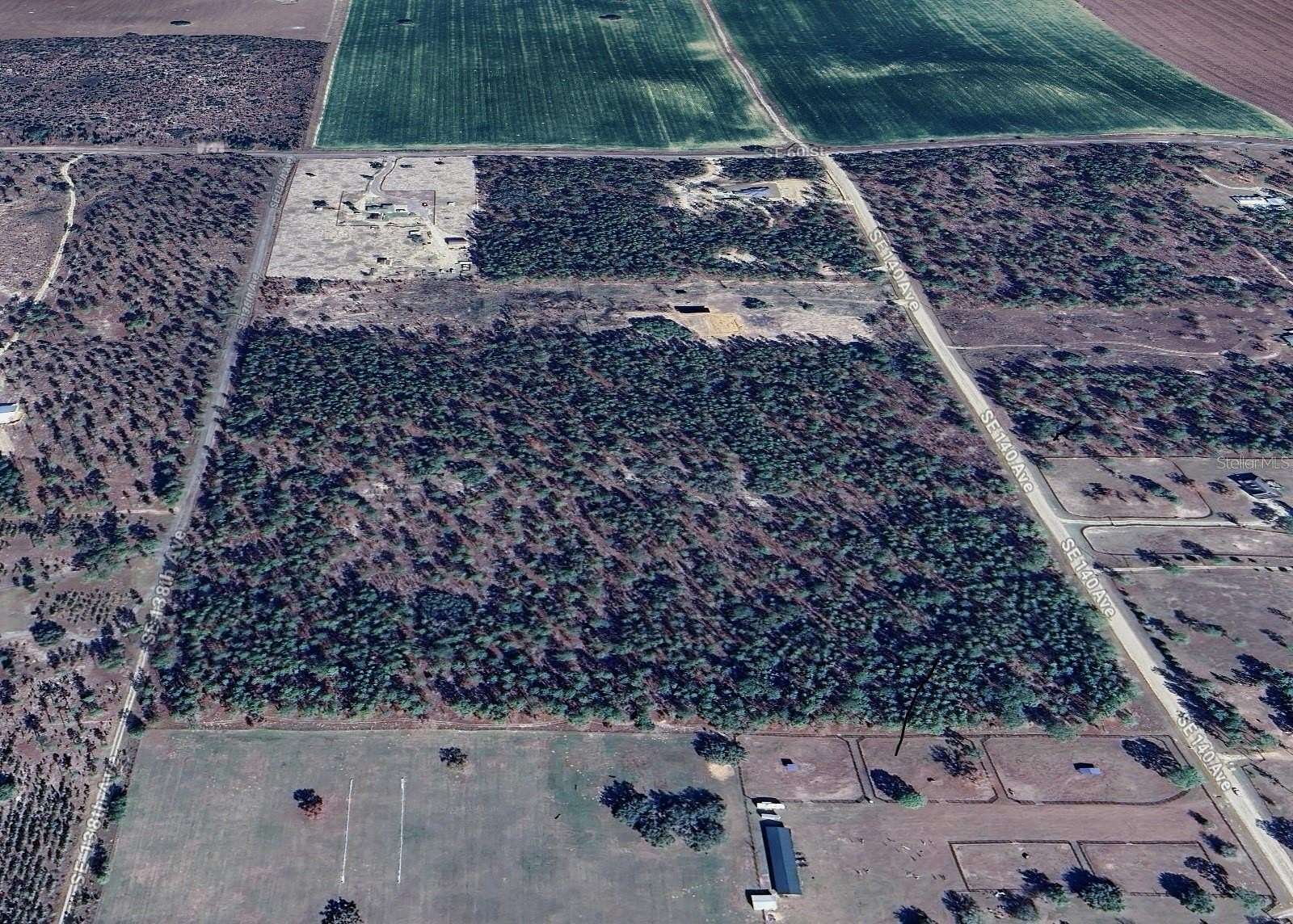 10.56 Acres of Recreational Land & Farm for Sale in Morriston, Florida