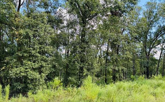 1.9 Acres of Residential Land for Sale in Jasper, Florida