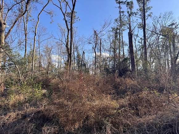 0.73 Acres of Land for Sale in Jasper, Florida