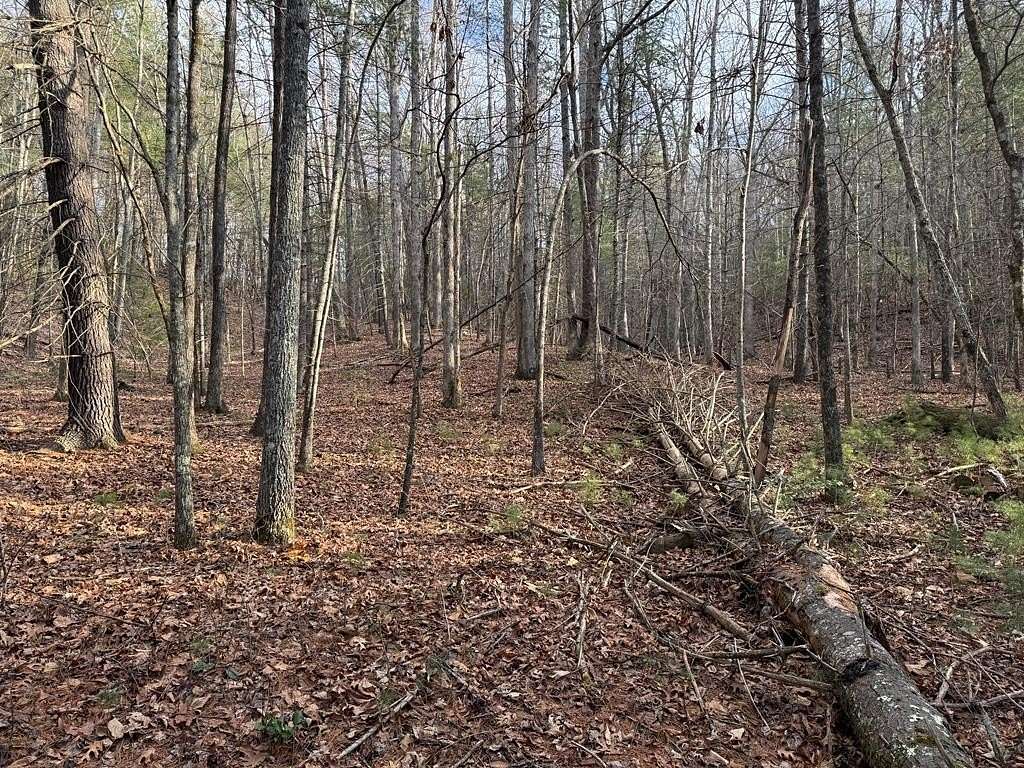 3.18 Acres of Residential Land for Sale in Blairsville, Georgia